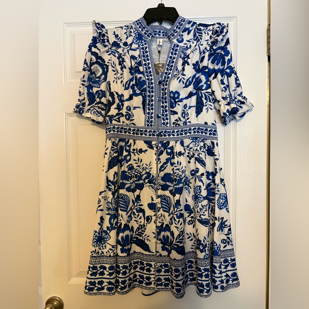 Floral Blue and White Dress